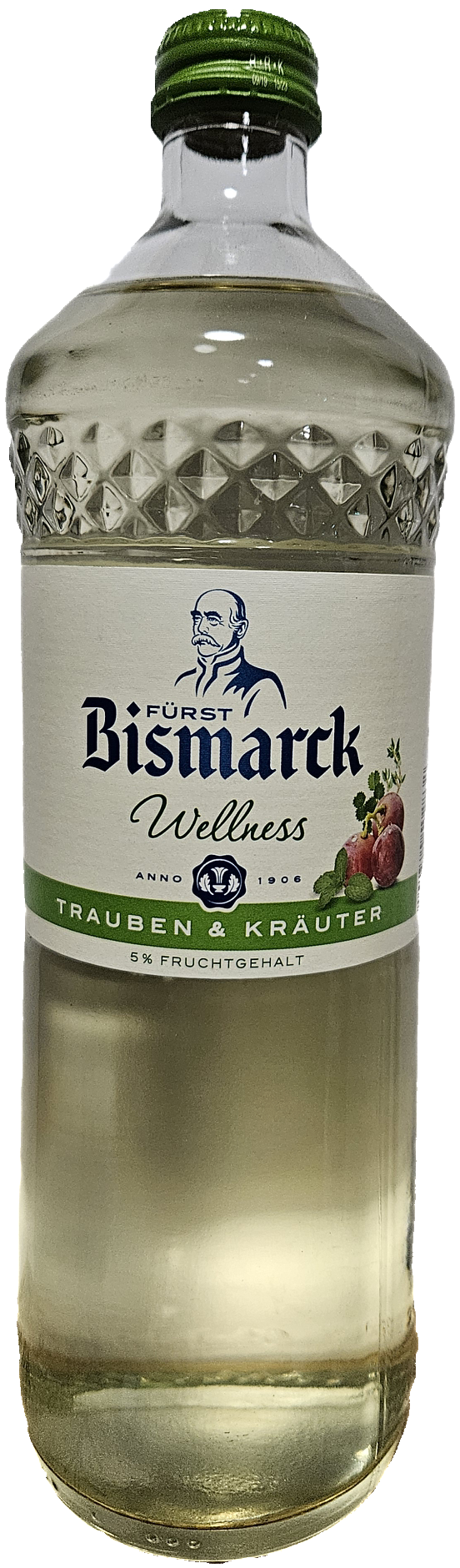 Bismarck Wellness